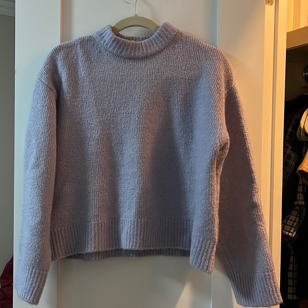 Purple Zara sweater